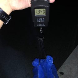 オクトパッシング