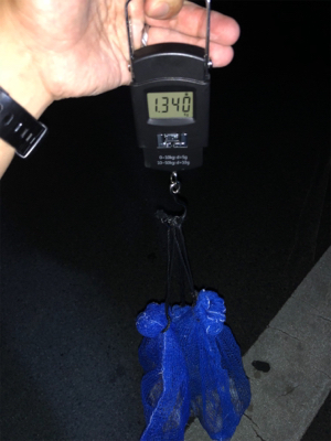 オクトパッシング