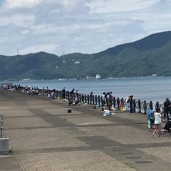 今期初キス&20年ぶりカレイ