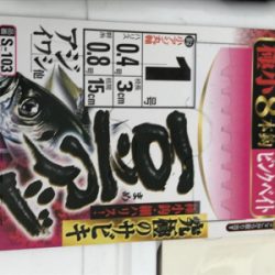 今日のサビキは ？