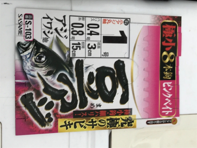 今日のサビキは ？