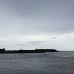 カマス釣れました