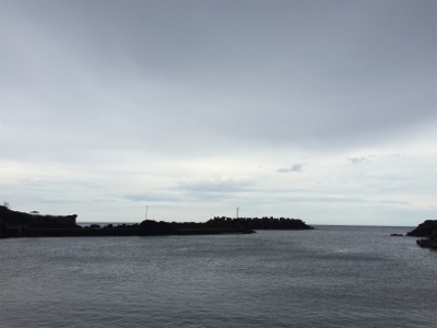 カマス釣れました