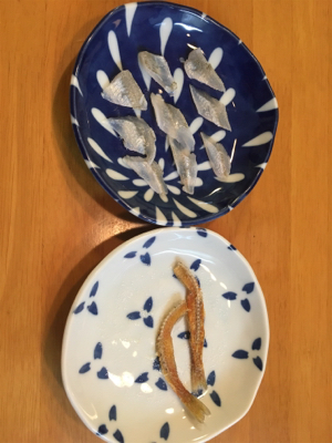 キス投げ釣りデビュー戦！