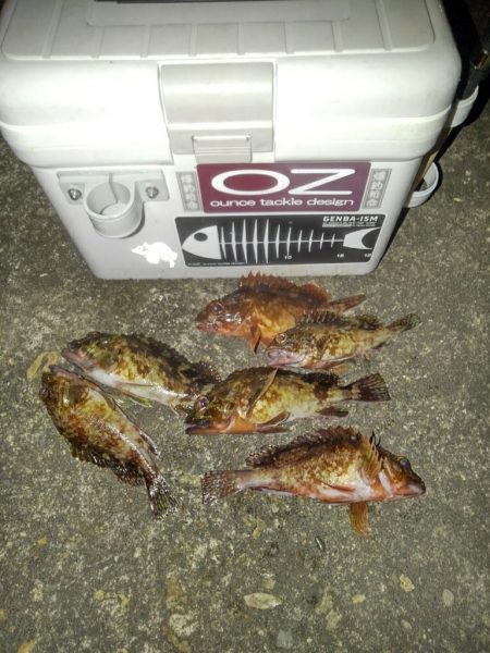 輪ゴムワームに填まってます‼…