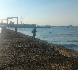 やってきましたメバル＆ガシラポンポン2018