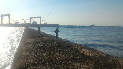 やってきましたメバル＆ガシラポンポン2018