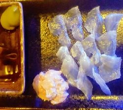 田ノ浦キス調査