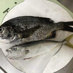 表、奥浜名湖満喫！