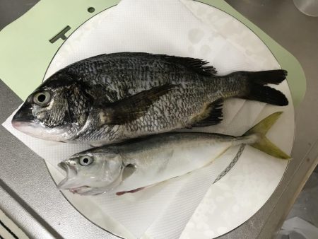 表、奥浜名湖満喫！