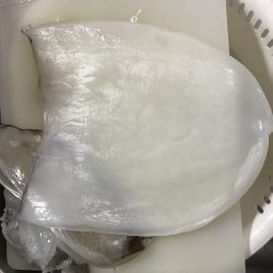 王様降臨！ 短時間エギング