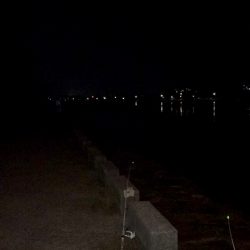 自己記録更新(^。^)