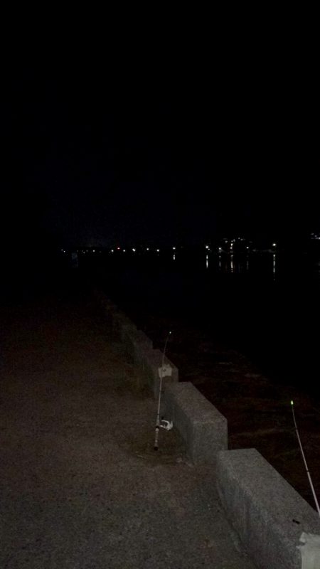 自己記録更新(^。^)