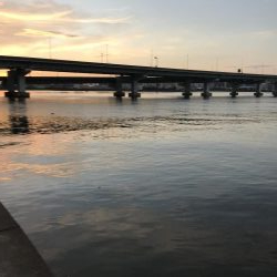 ミスキャストしたら釣れた(//∇//)