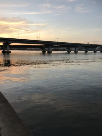 ミスキャストしたら釣れた(//∇//)