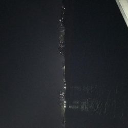 なんとか台風前に