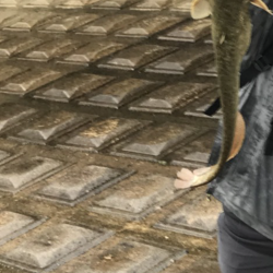 梅雨入りは活性up