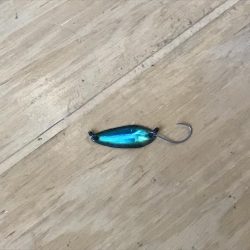 天神川スプーン調査