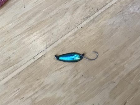 天神川スプーン調査