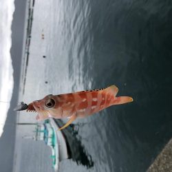 ファミリーフィッシング