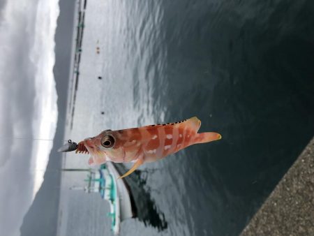 ファミリーフィッシング