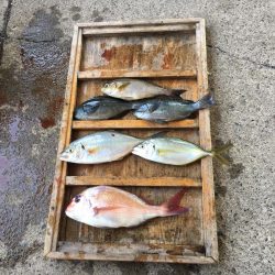 きらがわ漁場にて