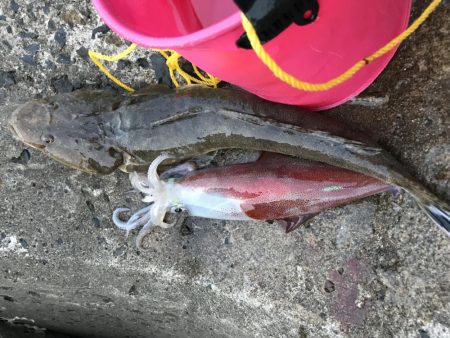 夕方ショアジギング