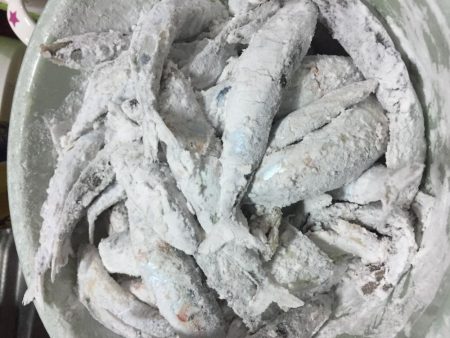 小鯖の飲ませ釣り