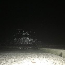 相手はガッシーのみ