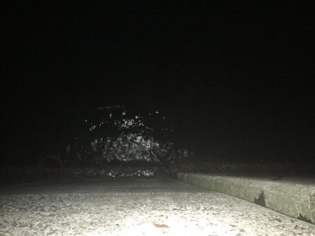 相手はガッシーのみ