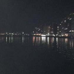 今年は相性が悪い？