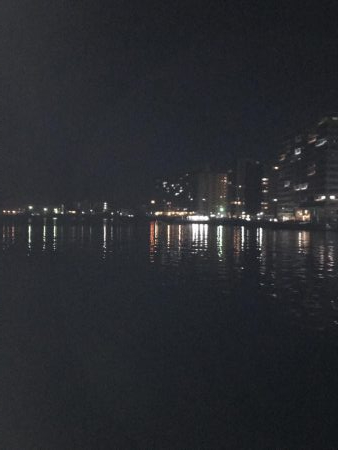 今年は相性が悪い？