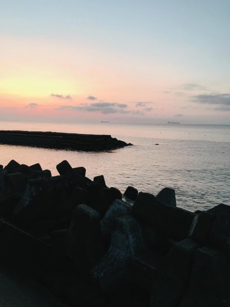 ロックフィッシング