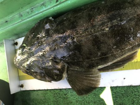 明石海峡 鯛ラバ好調