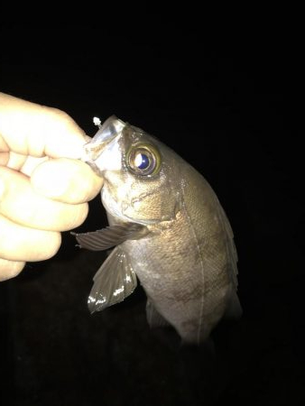 フォール➕デッドスロー