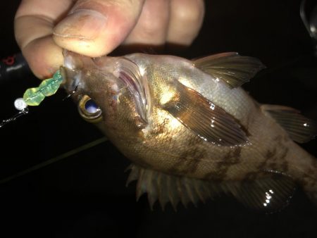 会社帰りプチメバル