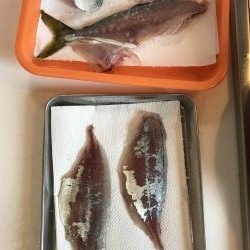 煙樹ヶ浜 ショアジギング