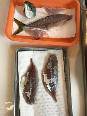 煙樹ヶ浜 ショアジギング