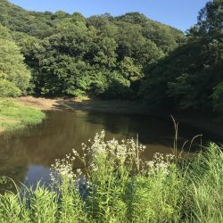 海まで行かず野池に久し振りに行って来ました。