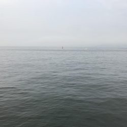 今日の釣果は。