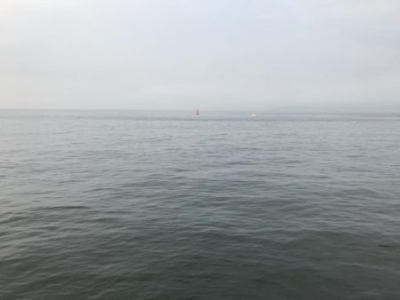 今日の釣果は。