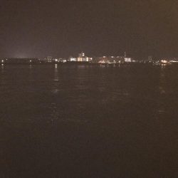 まさかのメバルが。