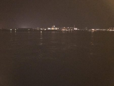 まさかのメバルが。