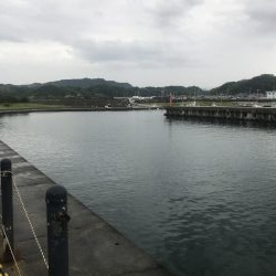 あいにくの雨です