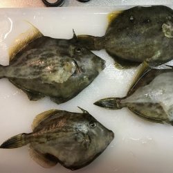 たまにはのんびりと