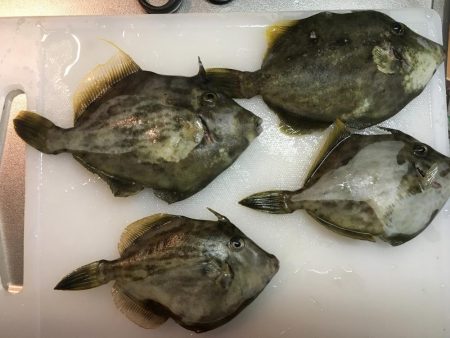 たまにはのんびりと