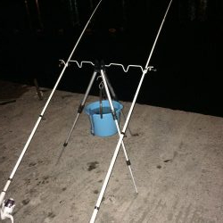 今日は良く当たりがあった