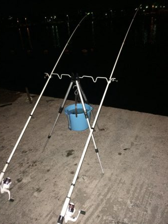 今日は良く当たりがあった