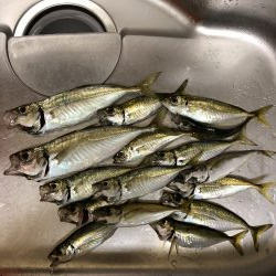 雨の中でのジグ単