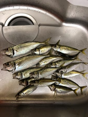 雨の中でのジグ単